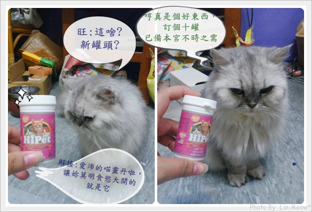 wan-wan